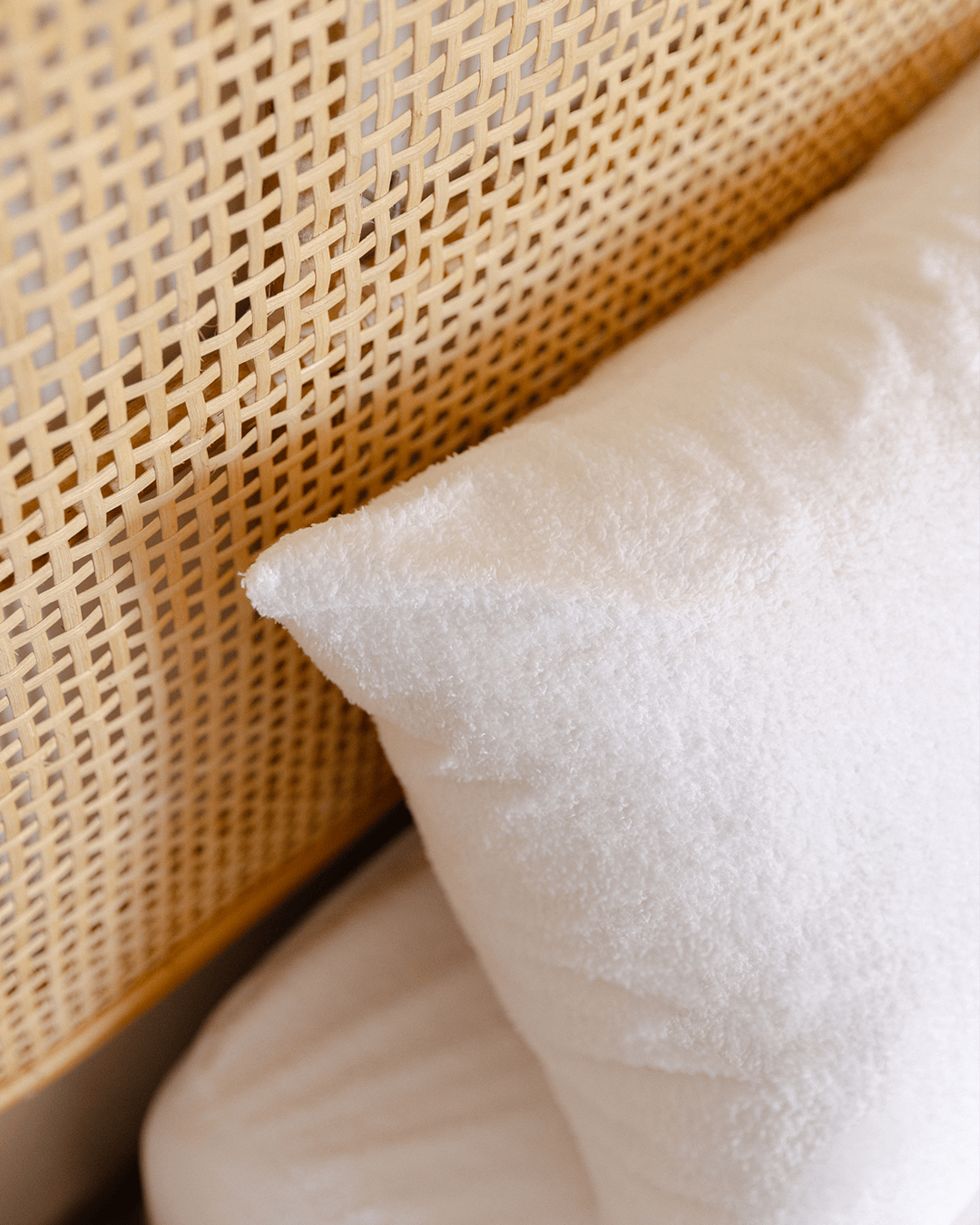 Pillow Protector