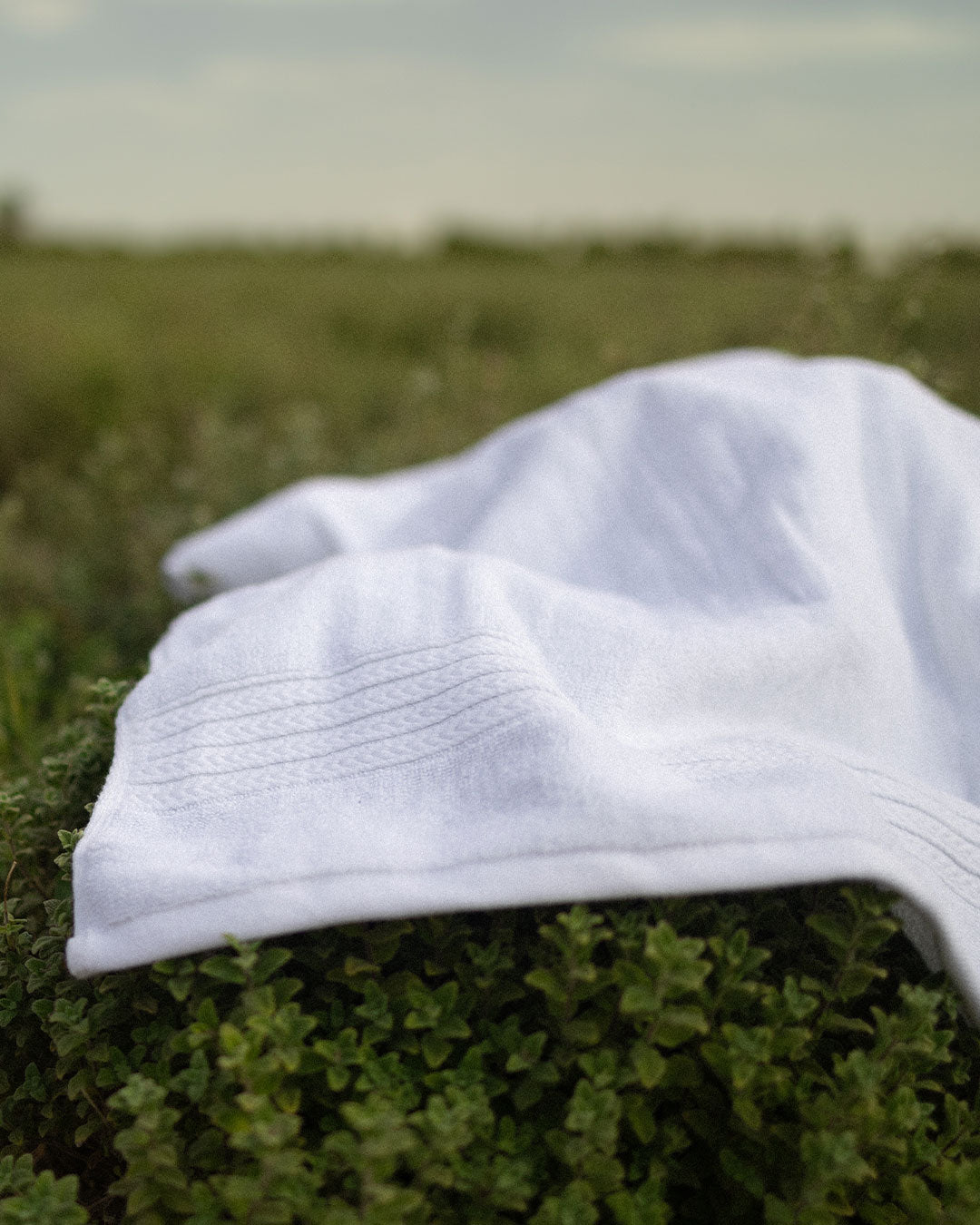 Egyptian Cotton Towel 600 GSM